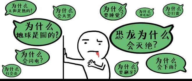 这是什么