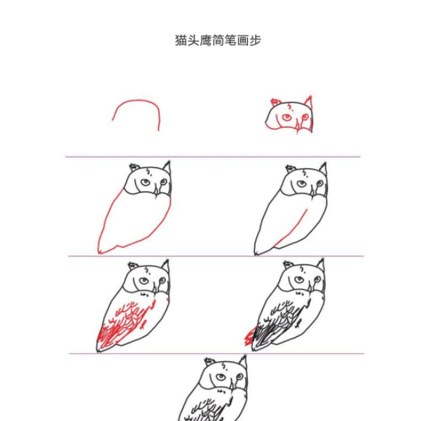 动物简笔画