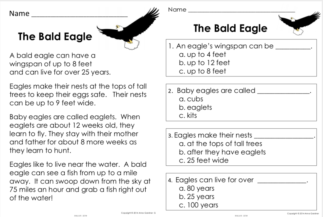 Guided Reading