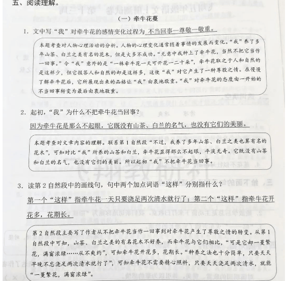 飞翔周周练