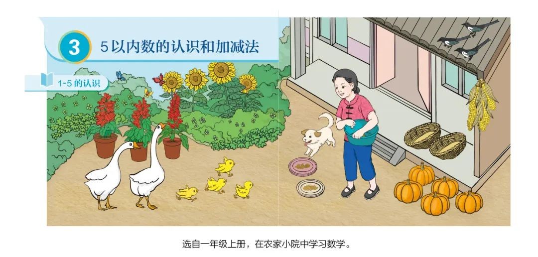 2022人教版数学新教材