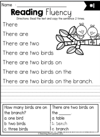 Reading fluency and comprehension