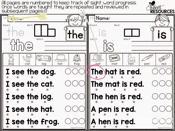Sight Word Fluency and Word Work 