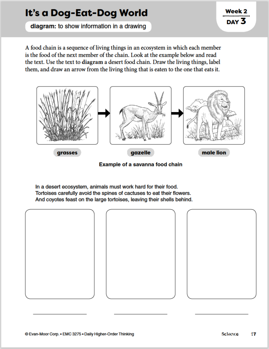 Daily Higher Order Thinking