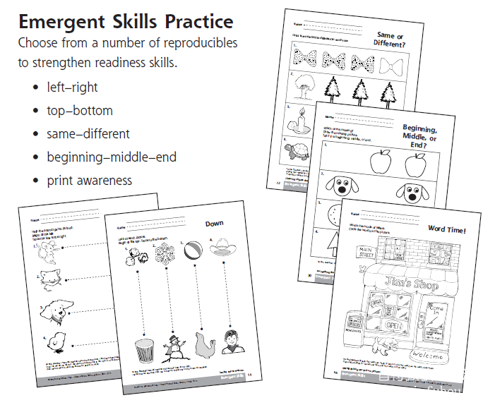 Basic Phonics Skills