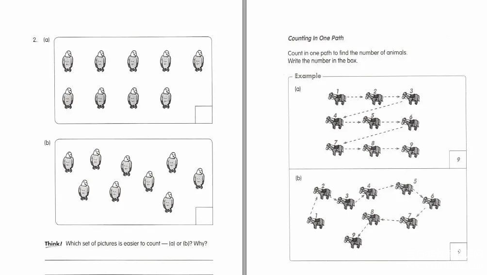 Visible Thinking in Mathematics