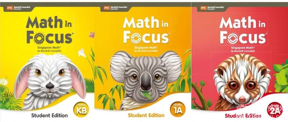 Math In Focus