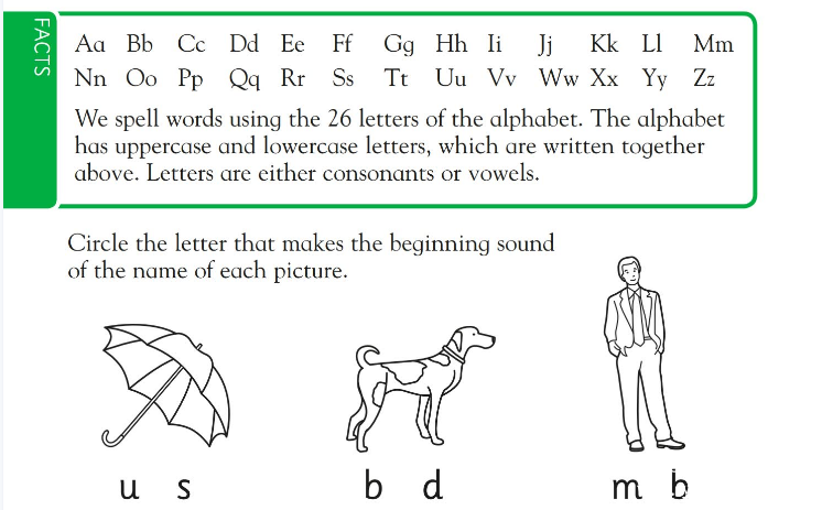 DK Workbooks: Spelling