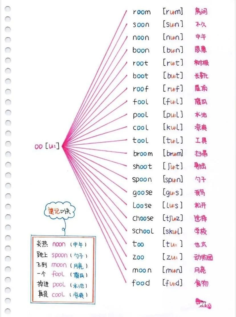 ee组合oo组合