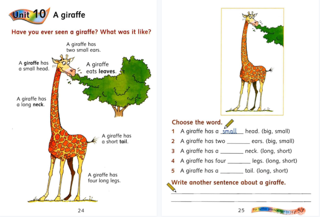 Primary Reading ComprehensionG1