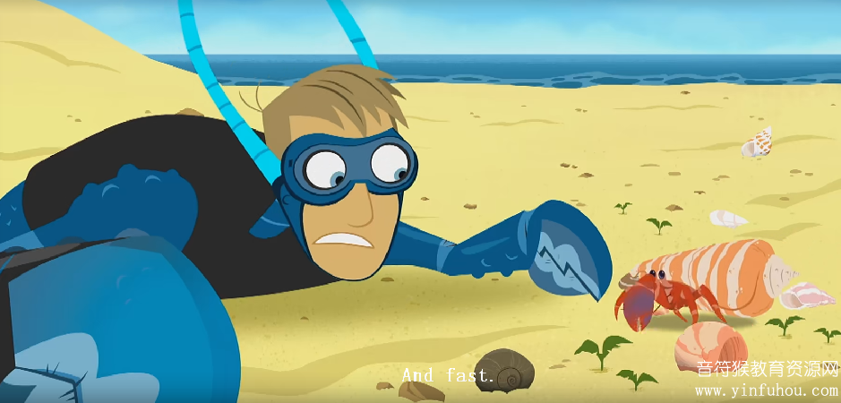 Wild Kratts