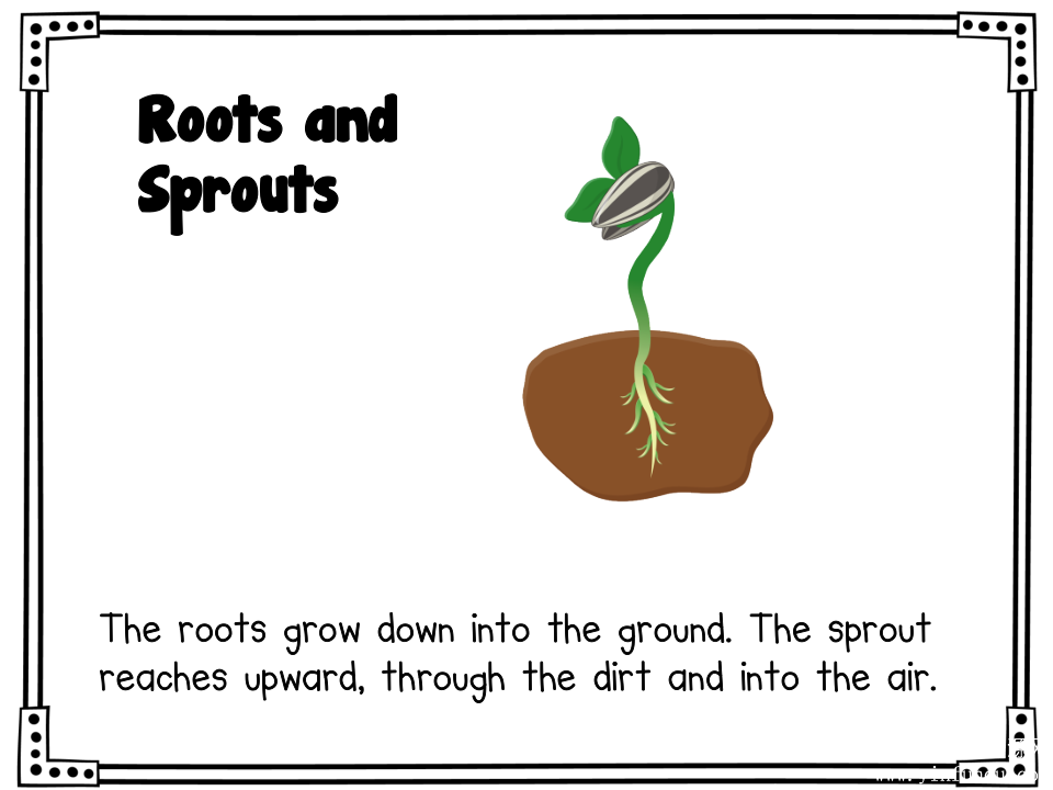 Fall Life Cycle Science