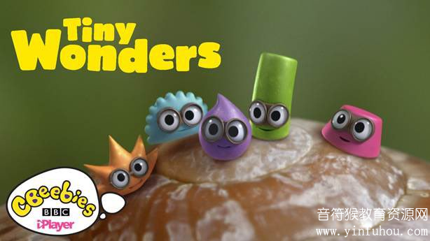 Tiny Wonders