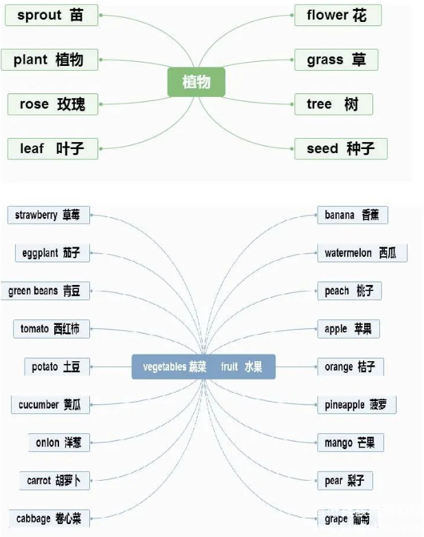 思维导图轻松记忆800个英文单词 电子版pdf