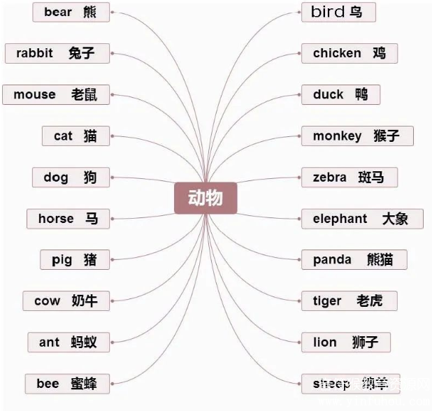 思维导图轻松记忆800个英文单词 电子版pdf