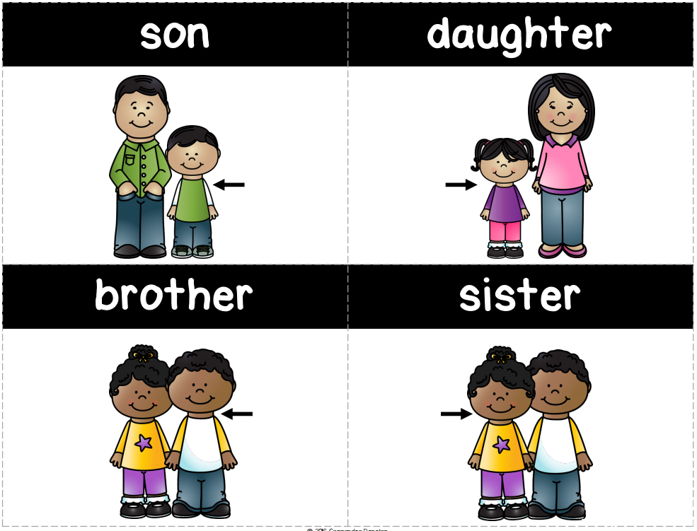 Family Vocabulary单词闪卡