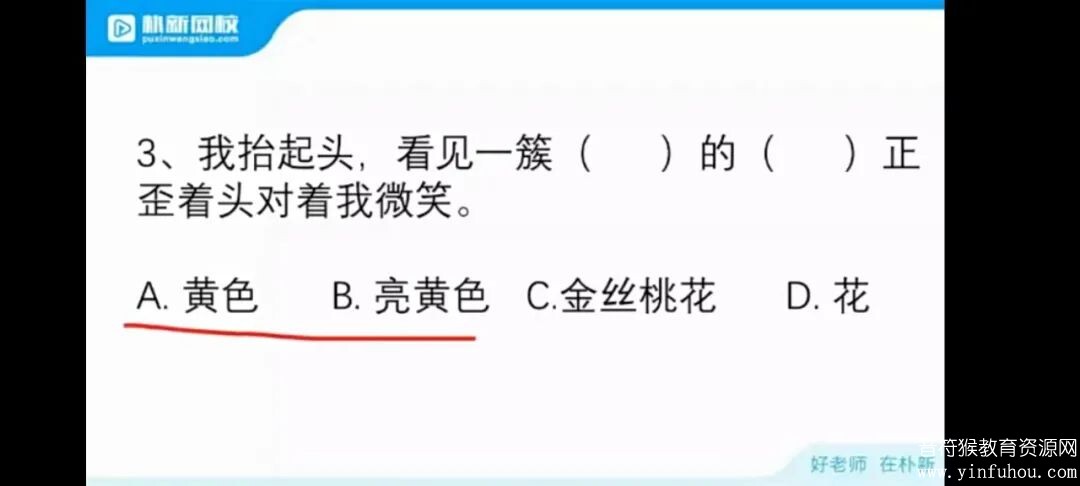 毛芸老师 小学作文提分班 跟我学写高分作文 初阶班+进阶班