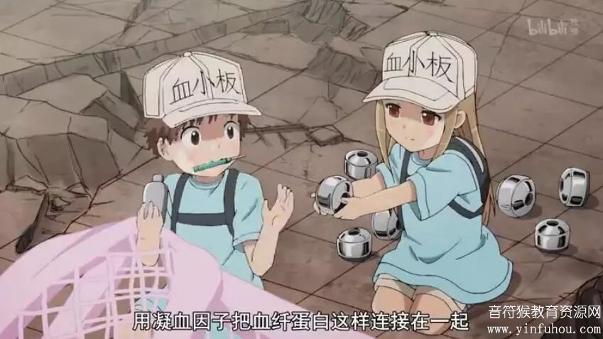 工作细胞 中文版第一季生物科普动画片 百度云网盘下载