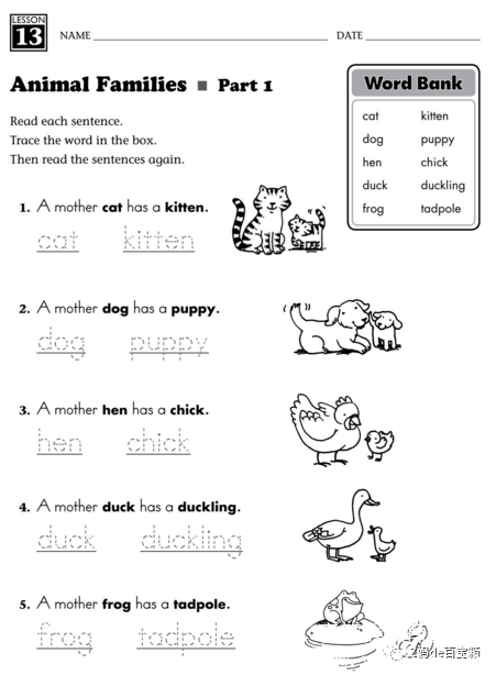 美国小学英语必备词汇练习册240 Vocabulary Words Kids Need to Know