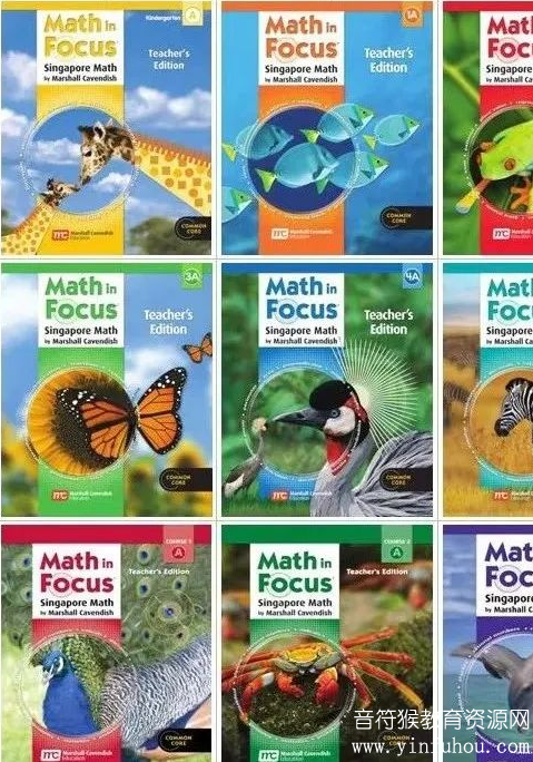 Math In Focus Workbook Grade