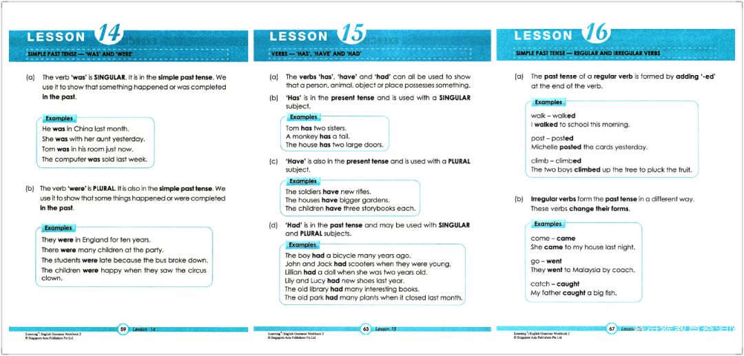 Learning English Grammar 新加坡教材小学语法练习册 电子版pdf