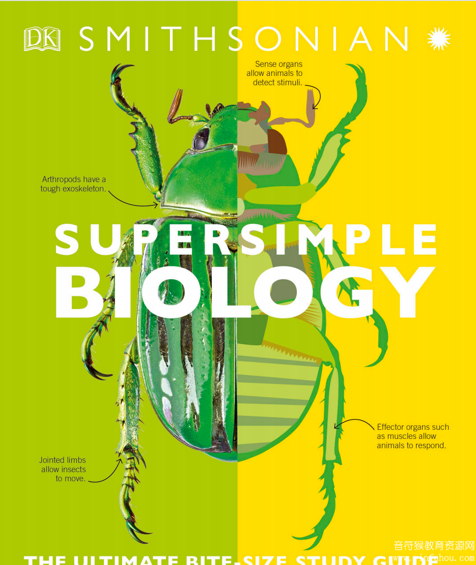 Super simple 系列全套4本高清PDF极简化学、生物、物流、数学