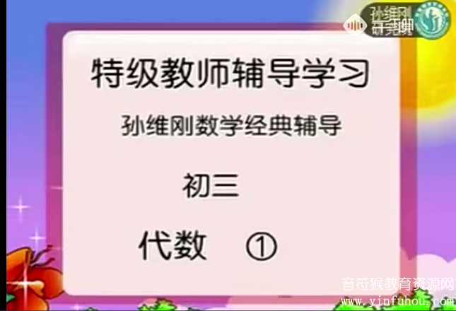 孙维刚数学初高中思维视频全套 百度网盘