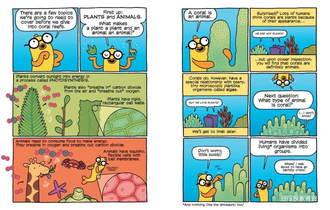 科学连环画杂志 Science comics 让孩子轻松掌握世界运转的秘密