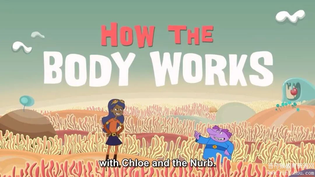 身体认知科普动画片《How your body works》
