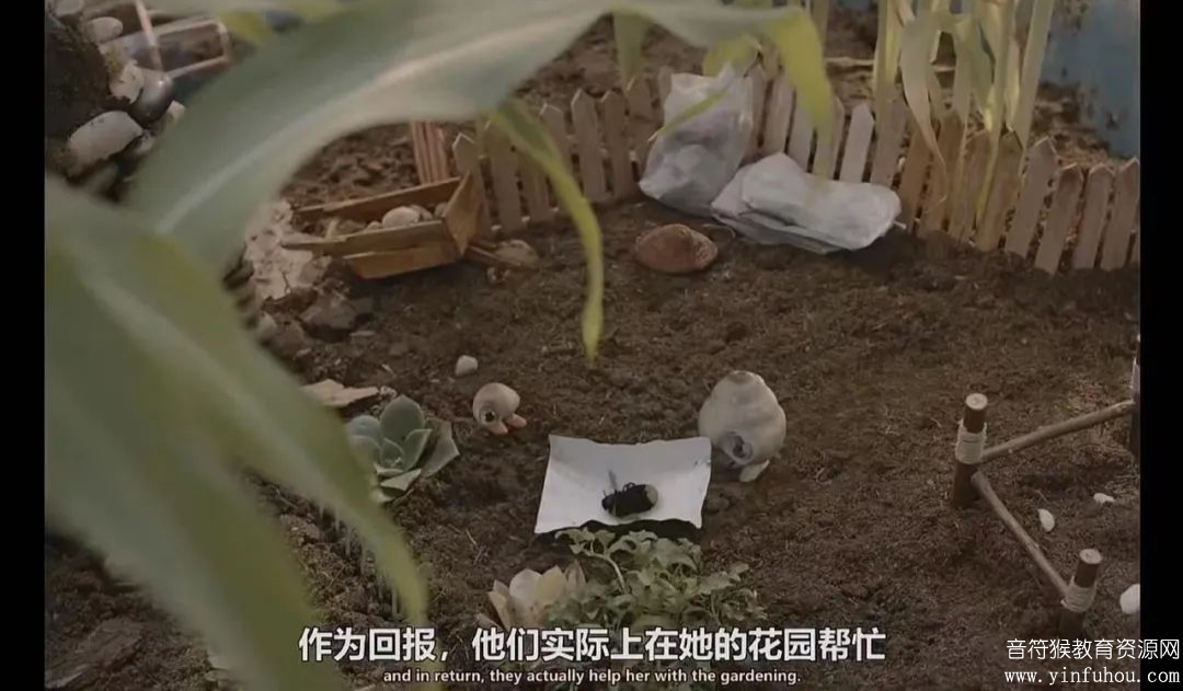 穿着鞋子的贝壳马赛尔 Marcel the Shell with Shoes On 百度云网盘