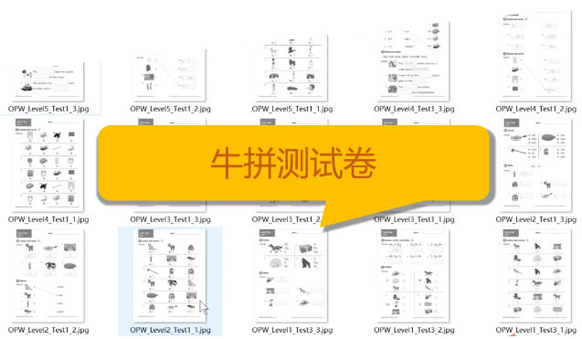 牛津拼读世界测试卷五级＋音频（黑白版）