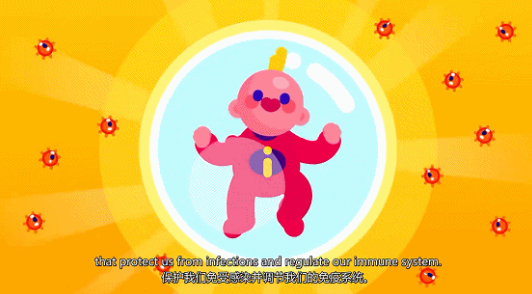 kurzgesagt科普动画 高质量极简动画短片