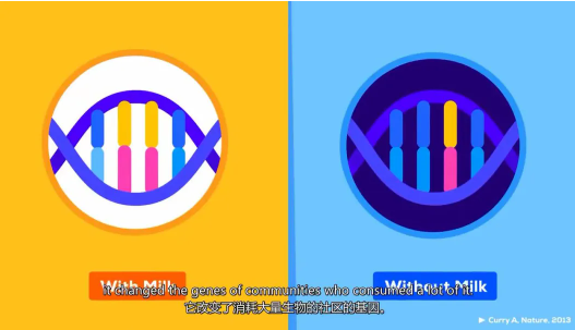 kurzgesagt科普动画 高质量极简动画短片